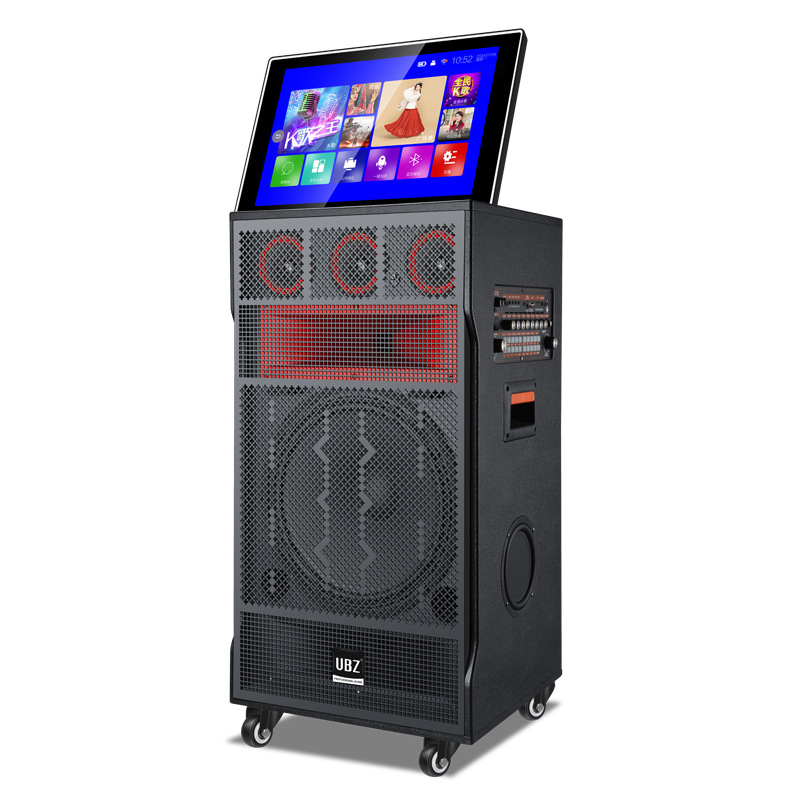 Power Tools Rental Business - Altoparlante Karaoke Impermeabile da Esterno con