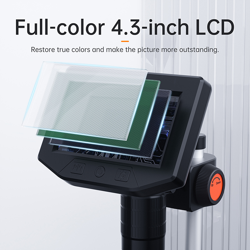 Microscopio con Zoom 1000X, Sc - Power Tools Video recensione e prezzo